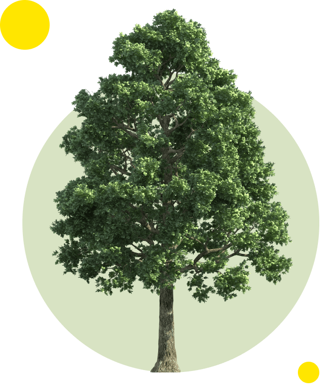 Amibente Imagen Floating arbol.png